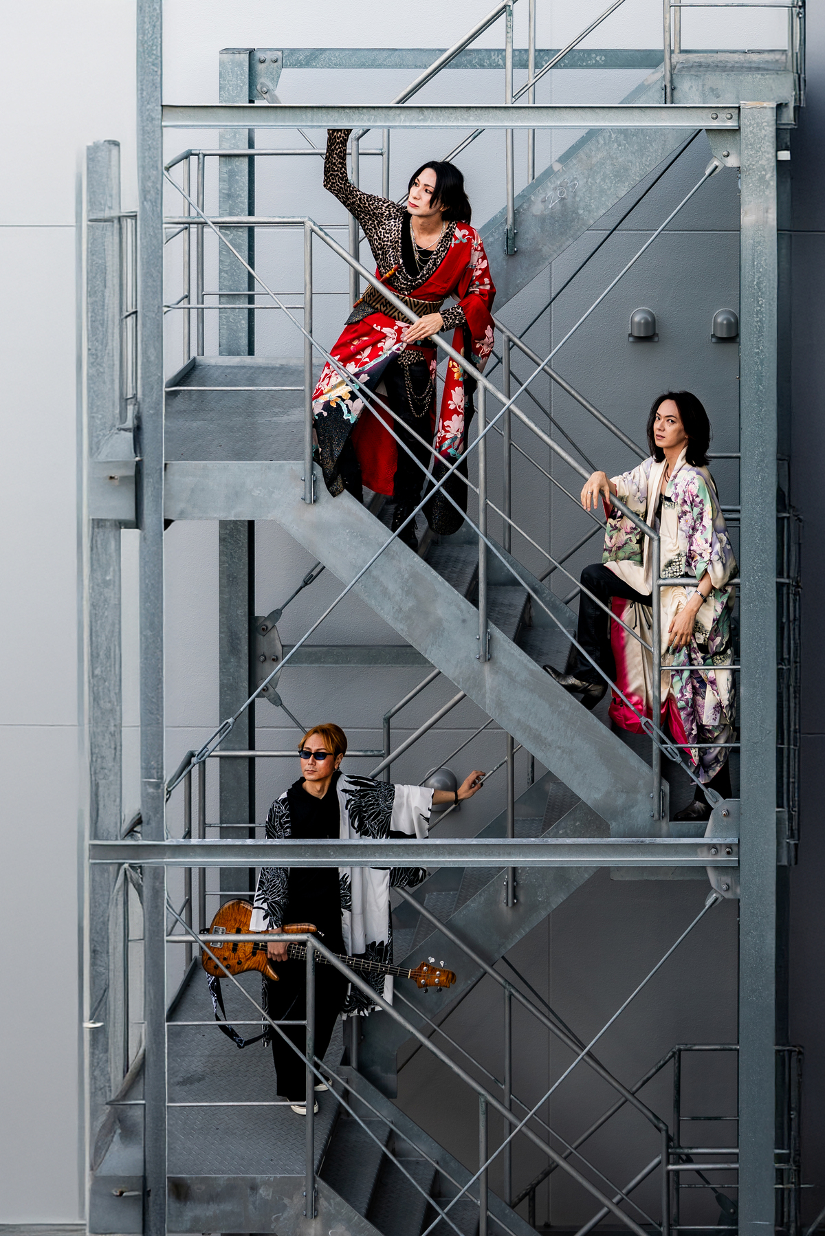 ロジスタのメンバーの画像